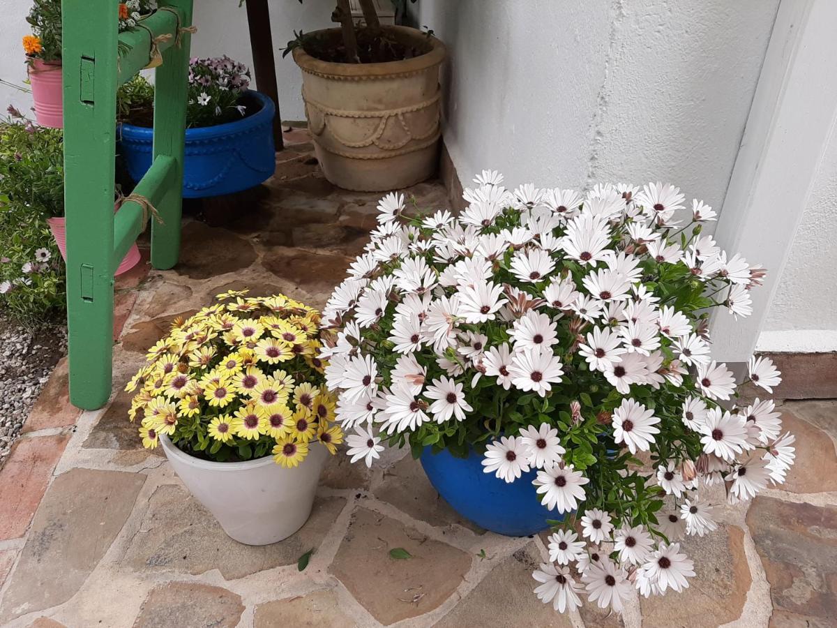 Pensjonat El Rincon De Carmen Rute Zewnętrze zdjęcie