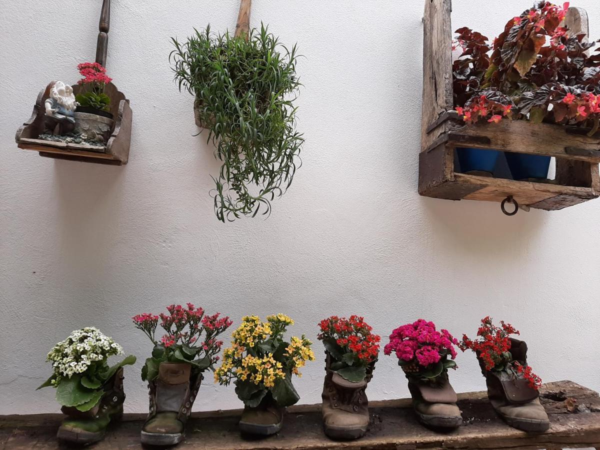 Pensjonat El Rincon De Carmen Rute Zewnętrze zdjęcie